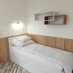 Apartment Penthouse Hajduszoboszlo