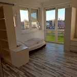 Penthouse Apartment